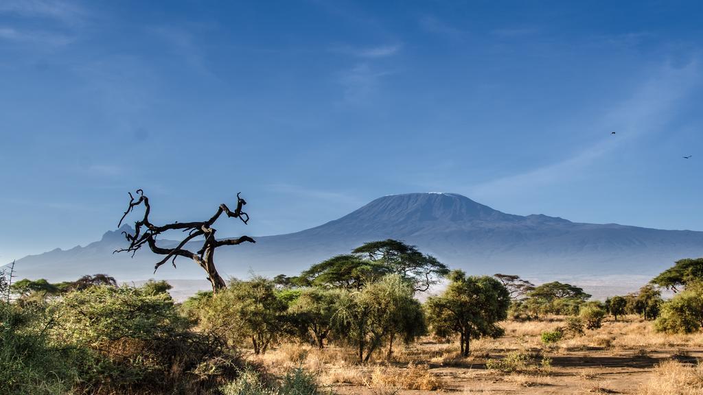 Sentrim Amboseli
